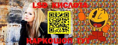 стафф Волгодонск