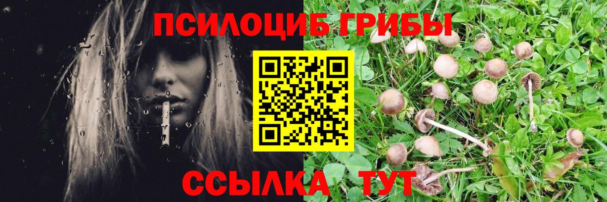 Галлюциногенные грибы мицелий  Вход с VPN  где купить   Кувандык 